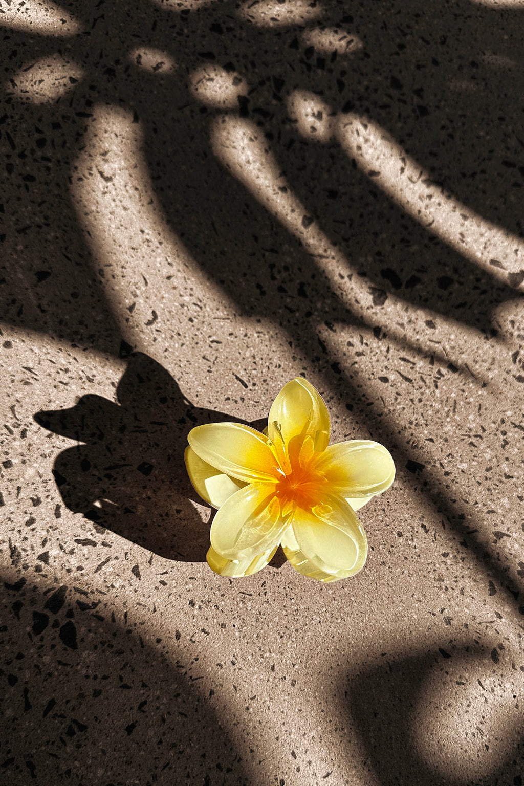 Ayni Frangipani Claw Clip Yellow by Selfie Leslie Australia