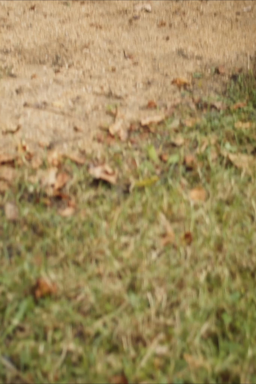 Love Songs Tied Back Maxi Skirt White