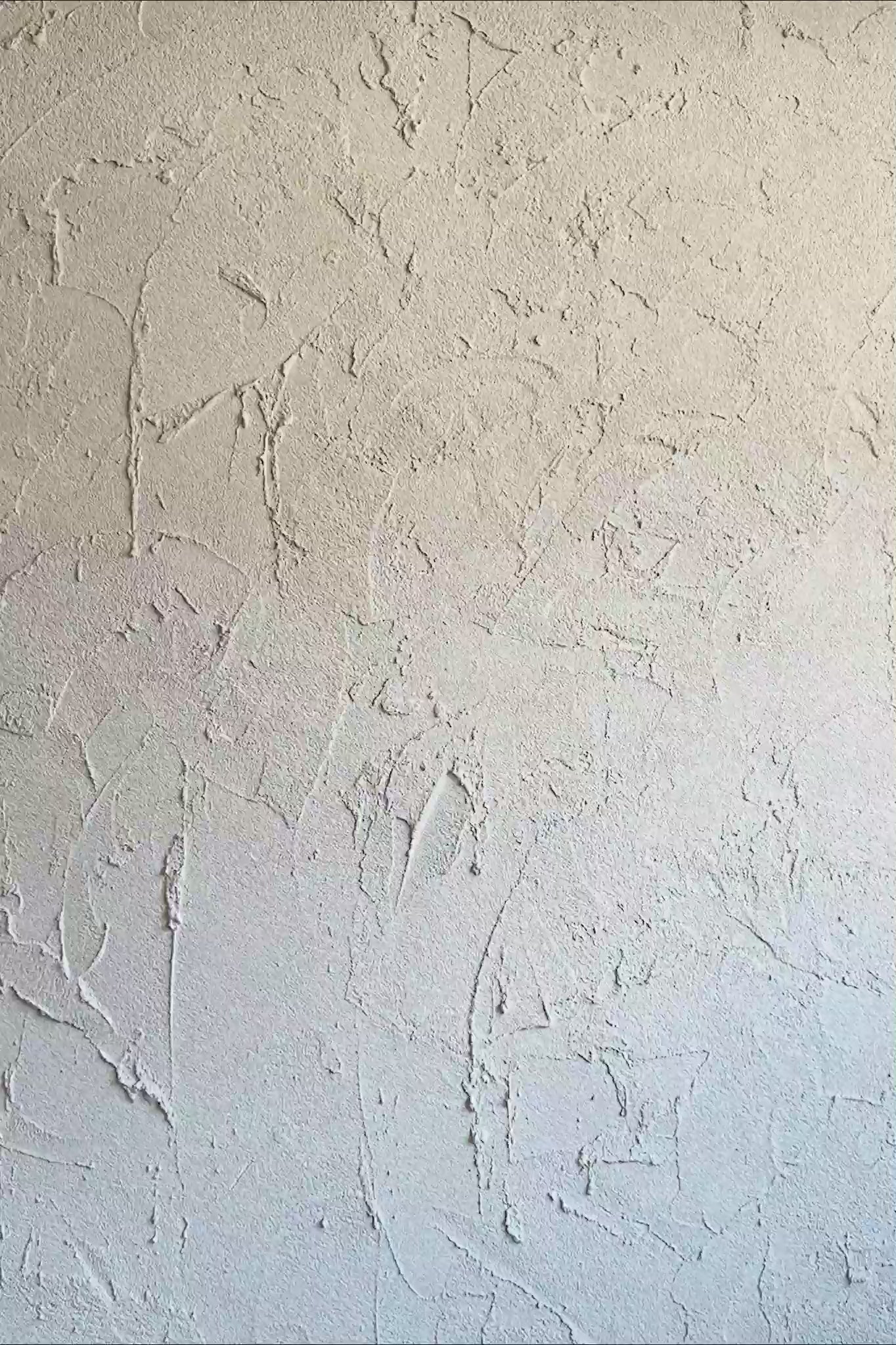 DR DENIM Nora Shorts Black Retro