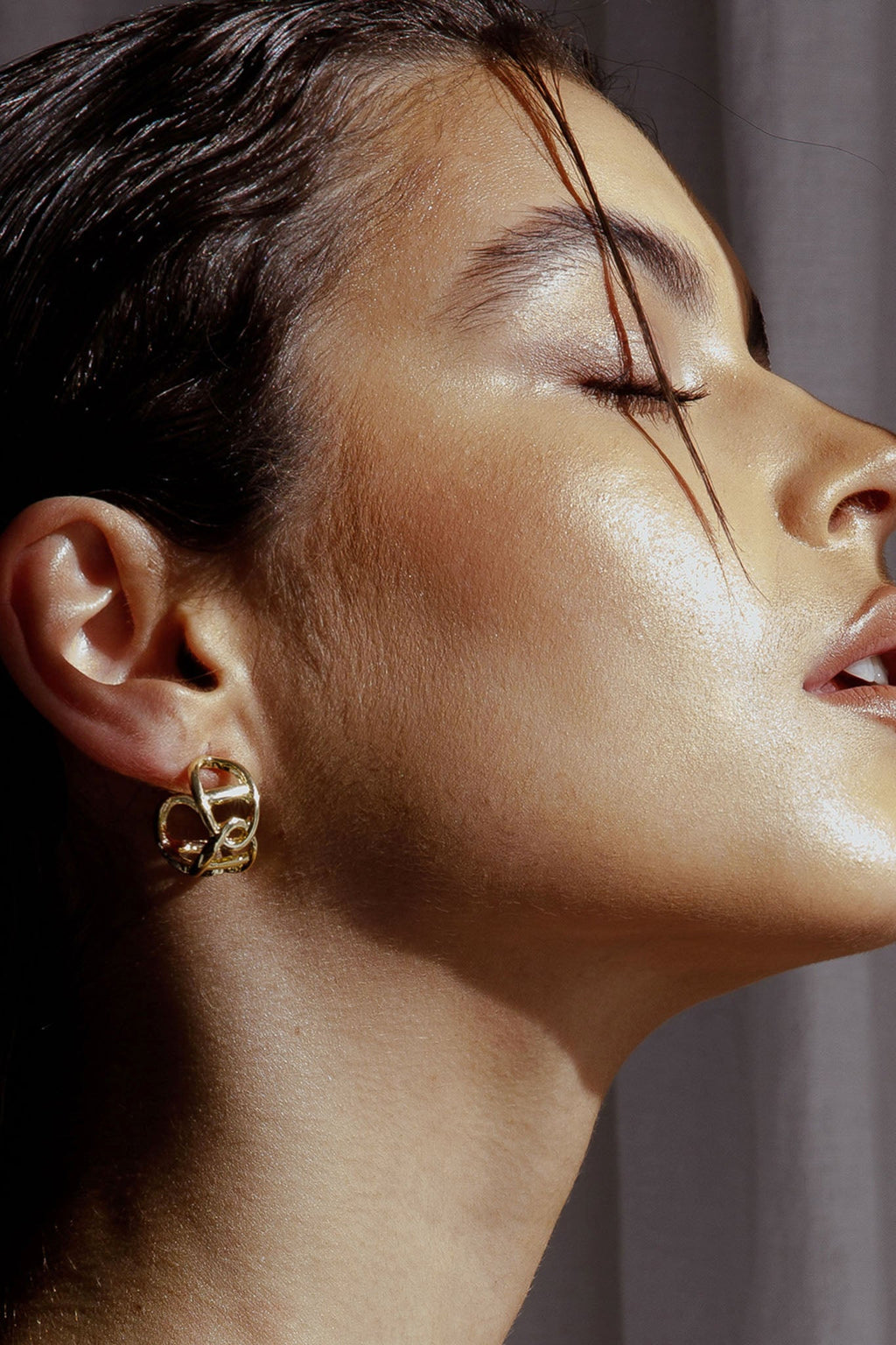 Knox Chain Link Small Hoop Earrings Gold by Selfie Leslie
