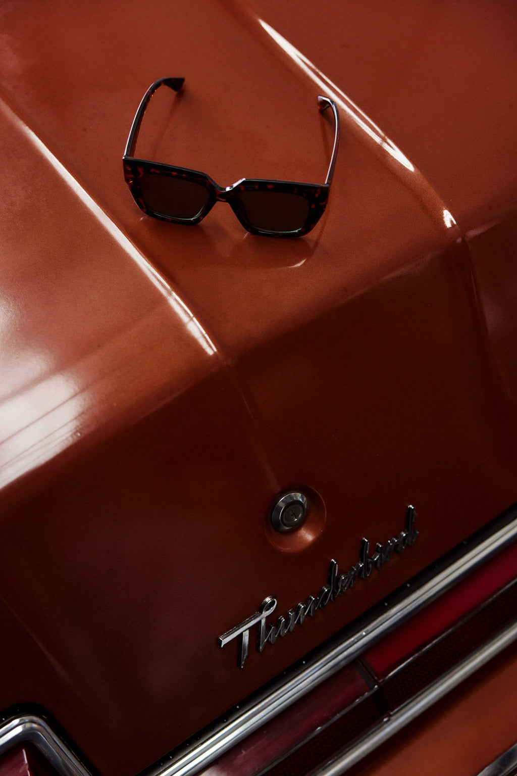 Cate Oversized Sunglasses Tortoiseshell Brown by Selfie Leslie