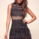 Ashleigh Mesh Overlay Fit and Flare Dress Black